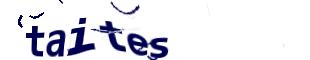 Captcha challenge image