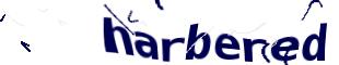 Captcha challenge image